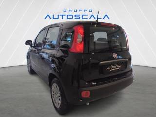 FIAT New Panda usata, con Airbag laterali