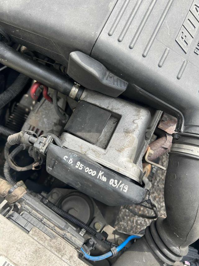 FIAT Punto usata 15