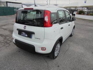 FIAT Panda usata 13