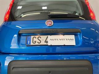 FIAT Panda usata 15