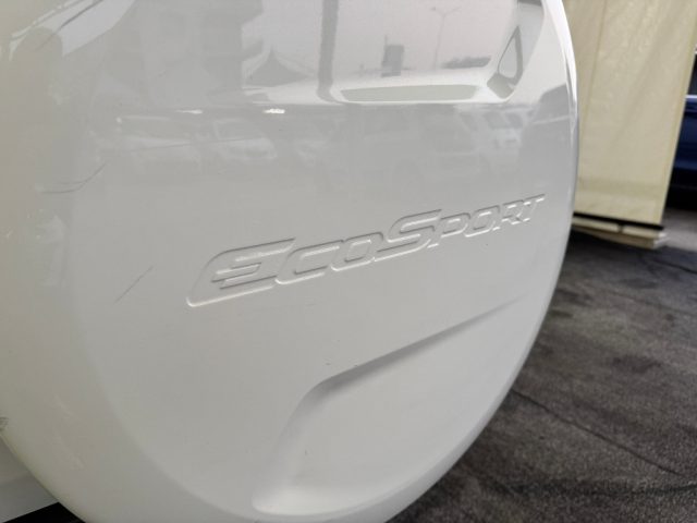 FORD EcoSport usata, con Frenata d