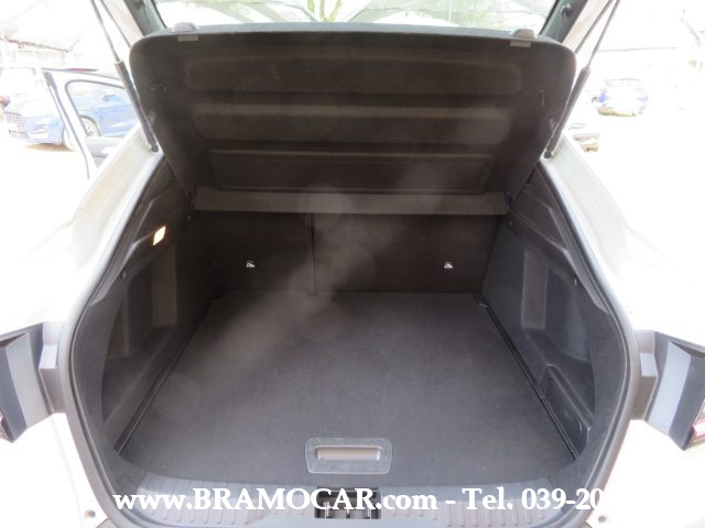 RENAULT Arkana usata, con Luci diurne LED