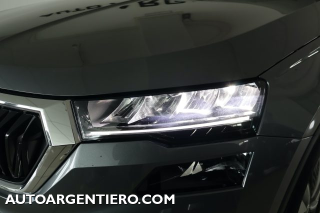 SKODA Karoq usata, con Sound system