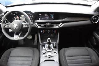 ALFA ROMEO Stelvio usata, con Boardcomputer