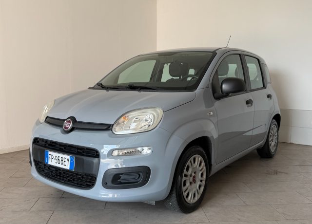 FIAT Panda usata 2