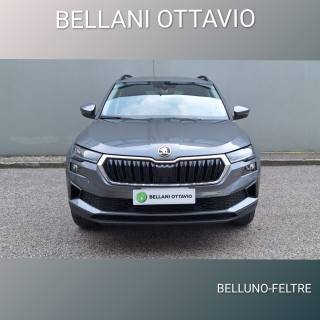 SKODA Karoq usata, con Airbag