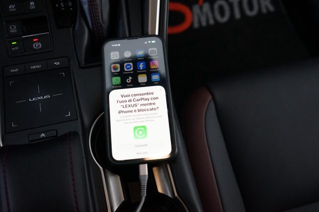 LEXUS NX 300h usata 44