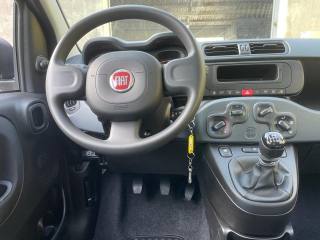 FIAT Panda usata, con Servosterzo