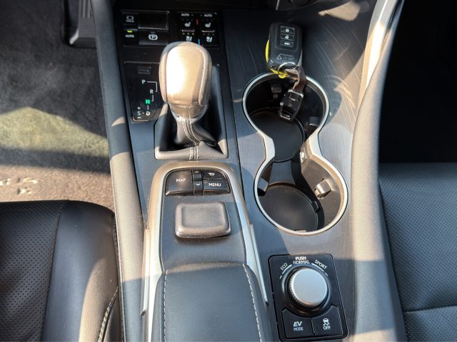 LEXUS RX 450h usata 18