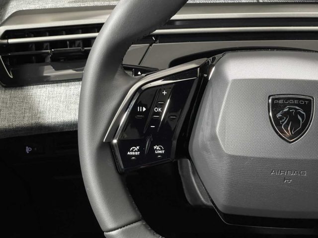 PEUGEOT 5008 usata 28