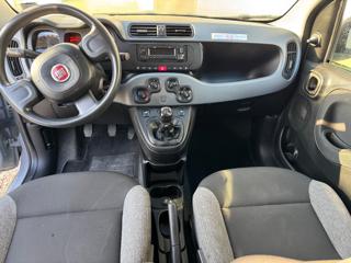 FIAT New Panda usata, con Climatizzatore