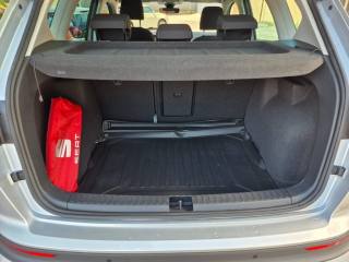 SEAT Ateca usata, con Fendinebbia