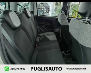 FIAT Panda usata 16