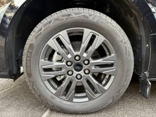 FORD Tourneo Custom usata, con Servosterzo