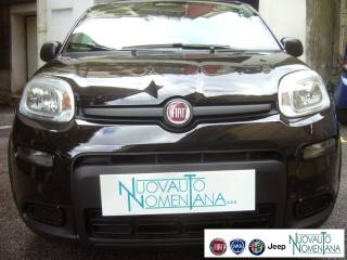 FIAT Panda usata, con Controllo trazione