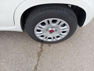 FIAT Panda usata, con Chiusura centralizzata telecomandata