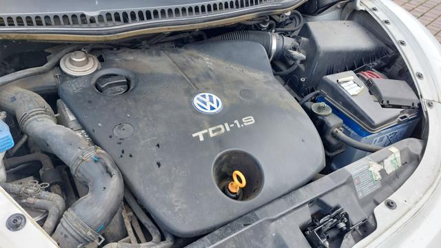 VOLKSWAGEN New Beetle usata 20