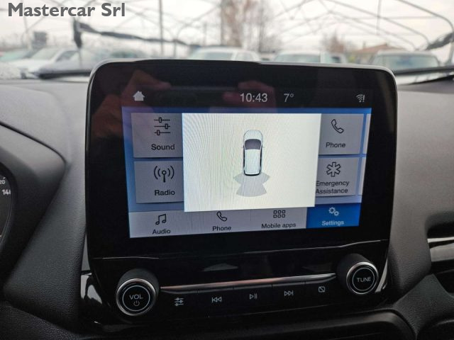 FORD EcoSport usata, con Fendinebbia
