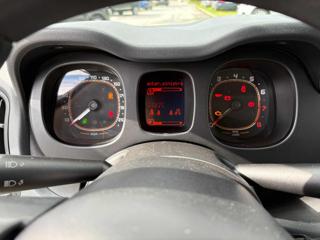 FIAT Panda usata, con Fendinebbia
