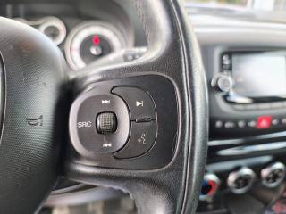 FIAT 500L usata, con Cronologia tagliandi
