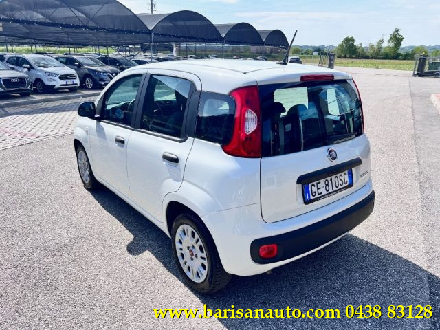FIAT Panda usata, con Alzacristalli elettrici