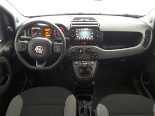 FIAT Panda usata, con Controllo trazione