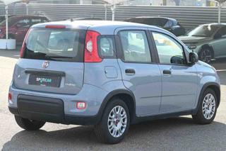 FIAT Panda usata, con Alzacristalli elettrici