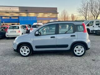FIAT Panda usata, con Antifurto