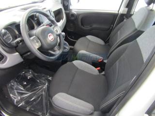 FIAT Panda usata, con Autoradio