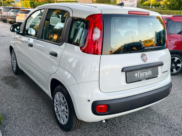 FIAT Panda usata, con Antifurto