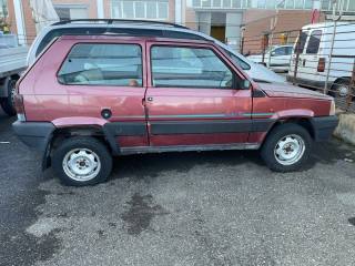 FIAT Panda usata 2
