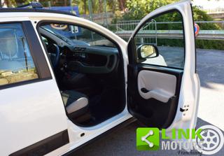 FIAT Panda usata 37