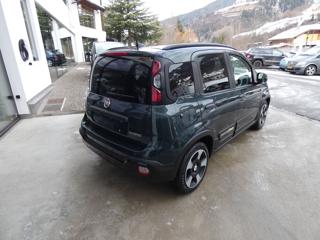 FIAT Pandina usata, con Antifurto