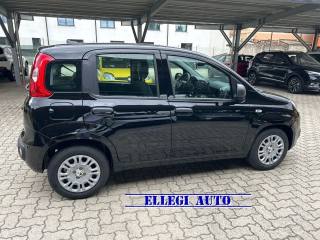FIAT Panda PROMO FINANZ 1.0 HYBRID 5 POSTI +PACK CITY KM 0
