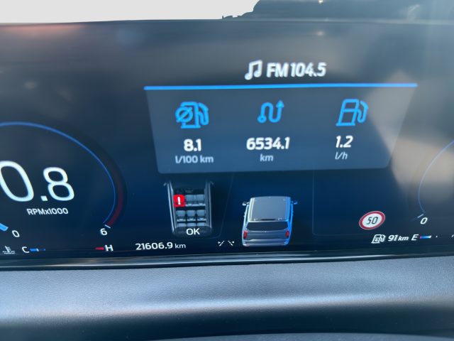 FORD Tourneo Custom usata 14