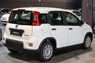 FIAT Panda usata, con Antifurto
