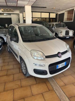 FIAT Panda usata 1