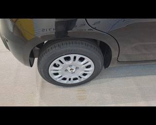FIAT New Panda usata 19