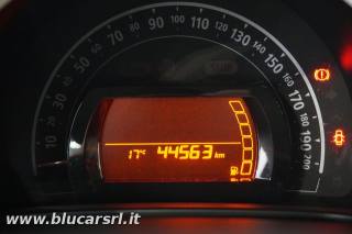 RENAULT Twingo usata 14