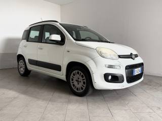 FIAT Panda usata 2
