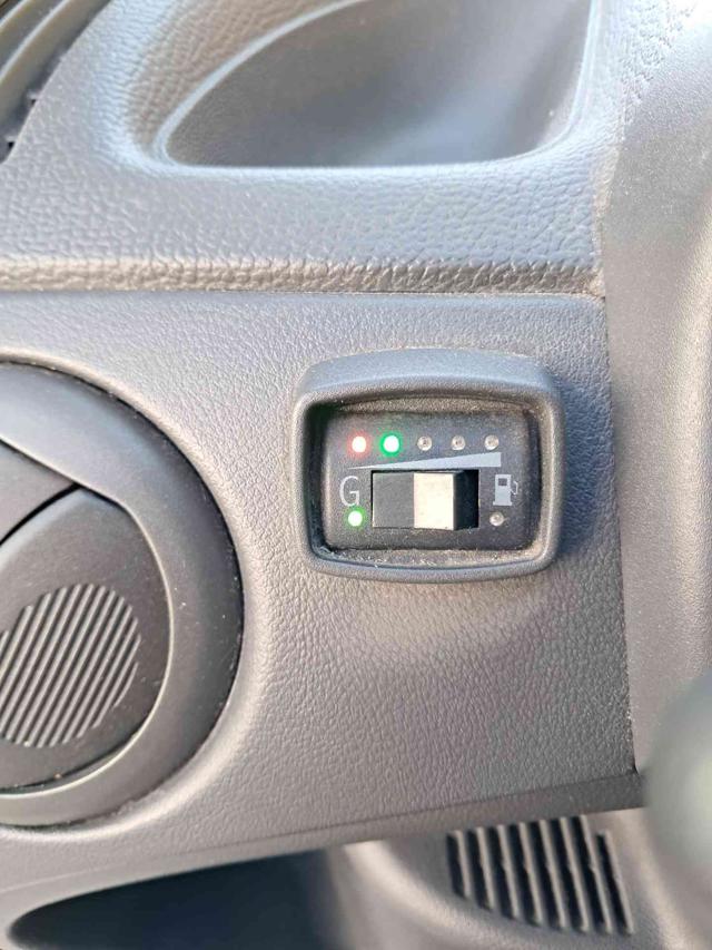 FIAT Punto usata 13