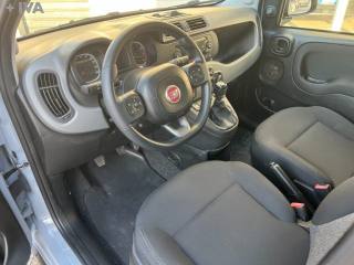 FIAT Panda usata 14