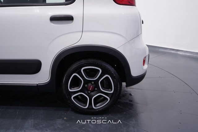 FIAT New Panda usata 26