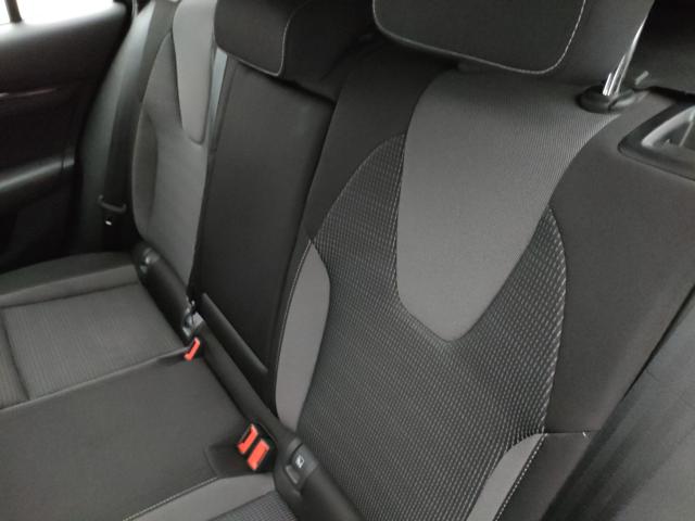 SKODA Octavia usata, con Fendinebbia