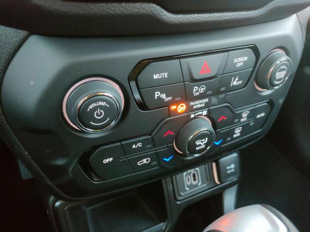 JEEP Renegade usata, con Filtro antiparticolato