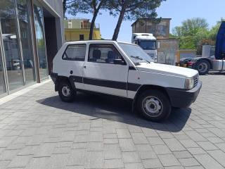 FIAT Panda usata 2