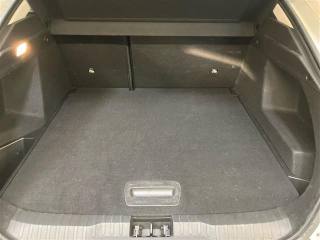 RENAULT Arkana usata 25