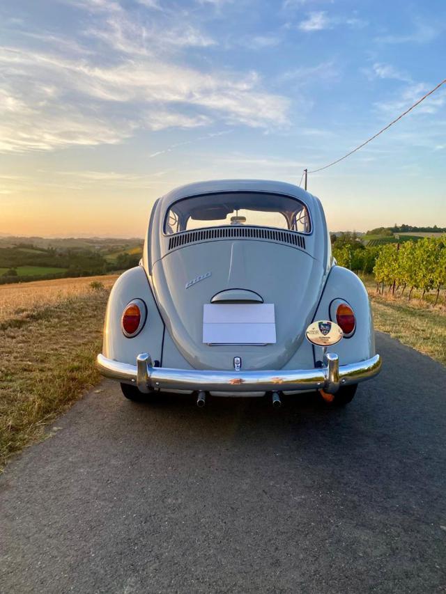 VOLKSWAGEN Maggiolino usata 28