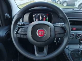 FIAT Panda usata 16