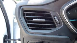 FORD Focus usata 85